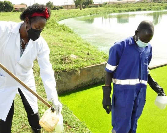 Der Alternativtext wird in Kürze eingefügt