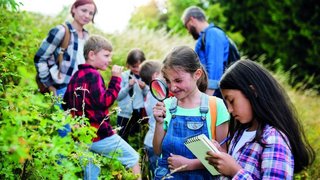 Eine Gruppe von Kindern und Erwachsenen steht bei Büschen und erforscht diese.