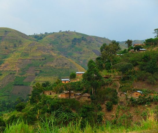 Landscape near Fort Portal in Uganda
