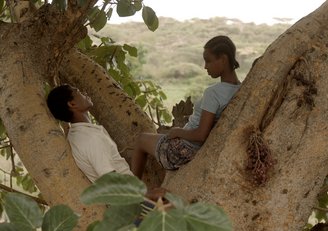 Foto Jugendliche auf einem Baum Film Fig Tree