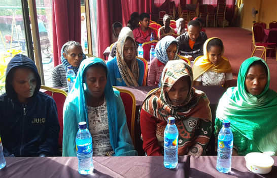 Seminar on gender-based violence at University of Gondar