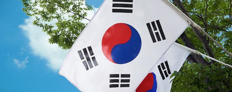 Two flags with the coat of arms of South Korea in front of a tree