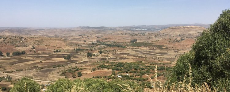 View on fallow land in Ethiopia, prepared for a reforestation project