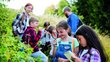 eine Gruppe von Schülerinnen und Schüler erforscht die Natur