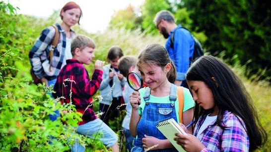 eine Gruppe von Schülerinnen und Schüler erforscht die Natur