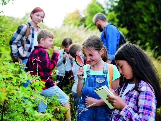 eine Gruppe von Schülerinnen und Schüler erforscht die Natur