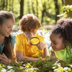 Drei Kinder erforschen mit einer Lupe den Wald.