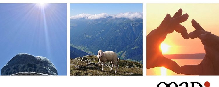 Collage mit Sommermotive: See, Berg mit Schaf, Sonnenhut und Sonnenuntergang