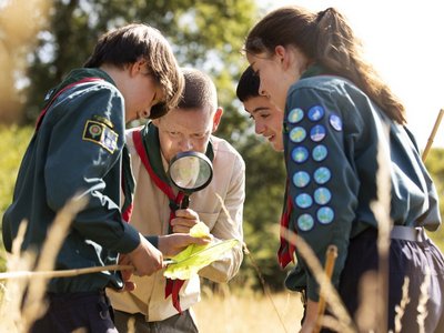 Eine Pfadfinder-Gruppe betrachtet mit einer Lupe Insekten.