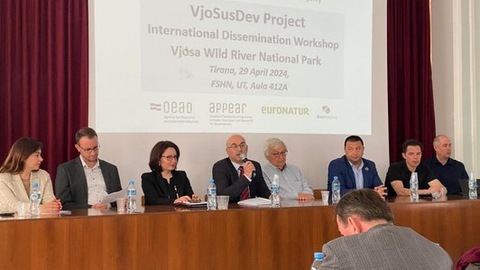 Project Dissemination workshop