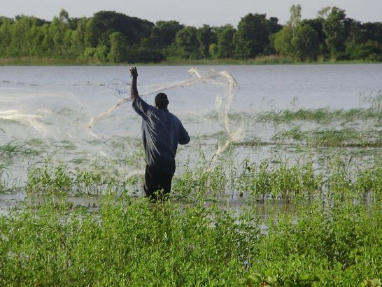 Fisherman fishing with net from behind