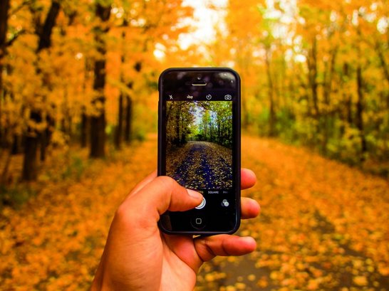 Blick auf Smartphone in Hand im Wald