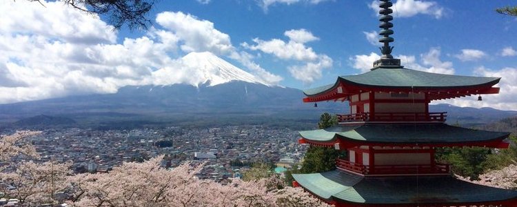 Aussicht auf Vulkan Fuji und japanischer Tempel während der Kirschblütenzeit