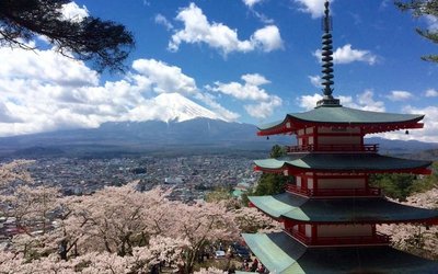 Aussicht auf Vulkan Fuji und japanischer Tempel während der Kirschblütenzeit