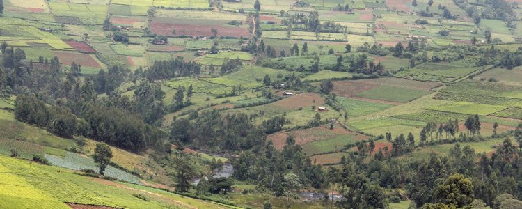Einzugsgebiet des Nyangores in Kenia