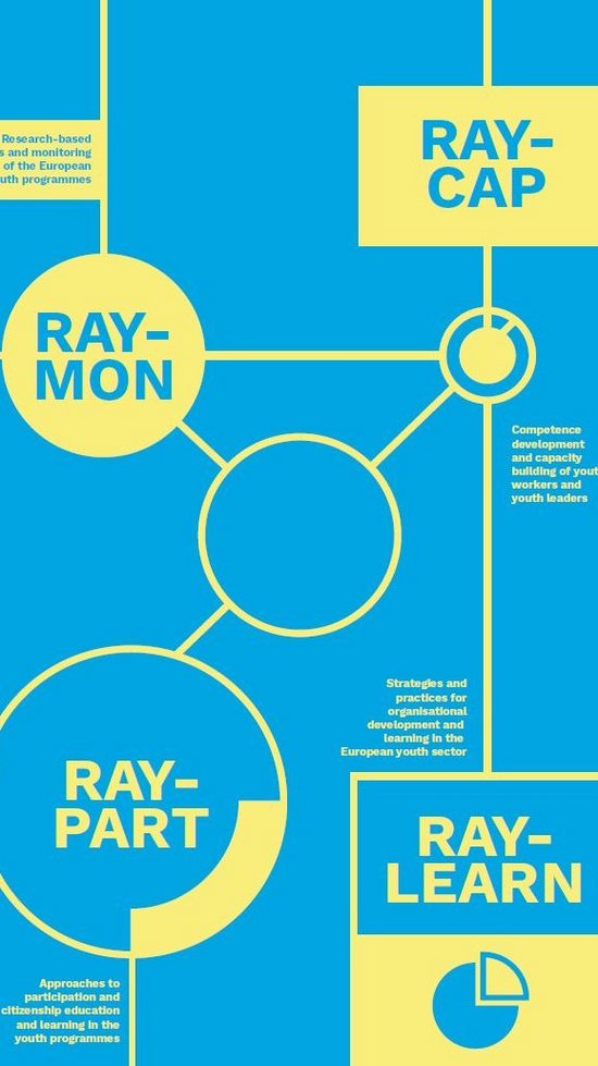 Grafische Darstellung des RAY-Forschungsnetzwerkes