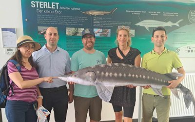 The project team (2 women, 3 men) stands in front of a large information sign about the small sturgeon