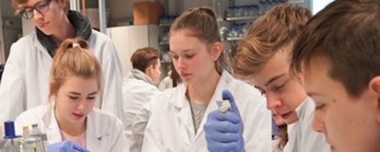 Schülerinnen und Schüler in Labormänteln experimentieren mit Pipetten und Reagenzgläsern