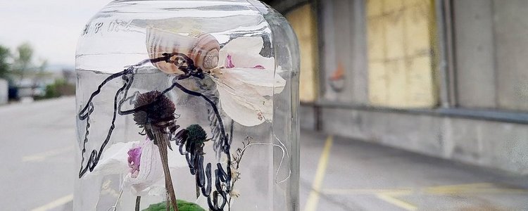 In einem Gurkenglas wurde mittels natürlichen Materiealien eine kleine und bunte "Welt" hergestellt. Zu diesen Materialien gehören unter anderem ein Schneckenhaus, Moos und getrocknete Blumen. Auf dem Gurkenglas wurde mit Marker ein Vogel gezeichnet.