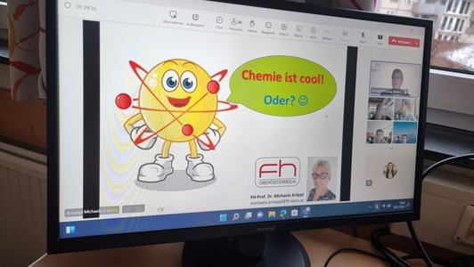 online Workshop Chemie am Bildschirm