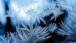 beautiful frost pattern on a window