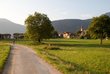 Menschenleere Straße inmitten von Wiesen 
