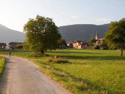 Menschenleere Straße inmitten von Wiesen 