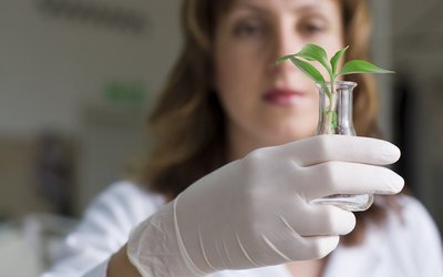 Forscherin mit Pflanze in einem Reagenzglas