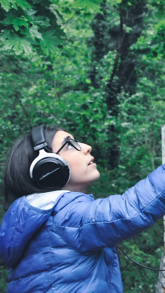 Forest Groove: Biodiversität im Wald gemeinsam erforschen!
